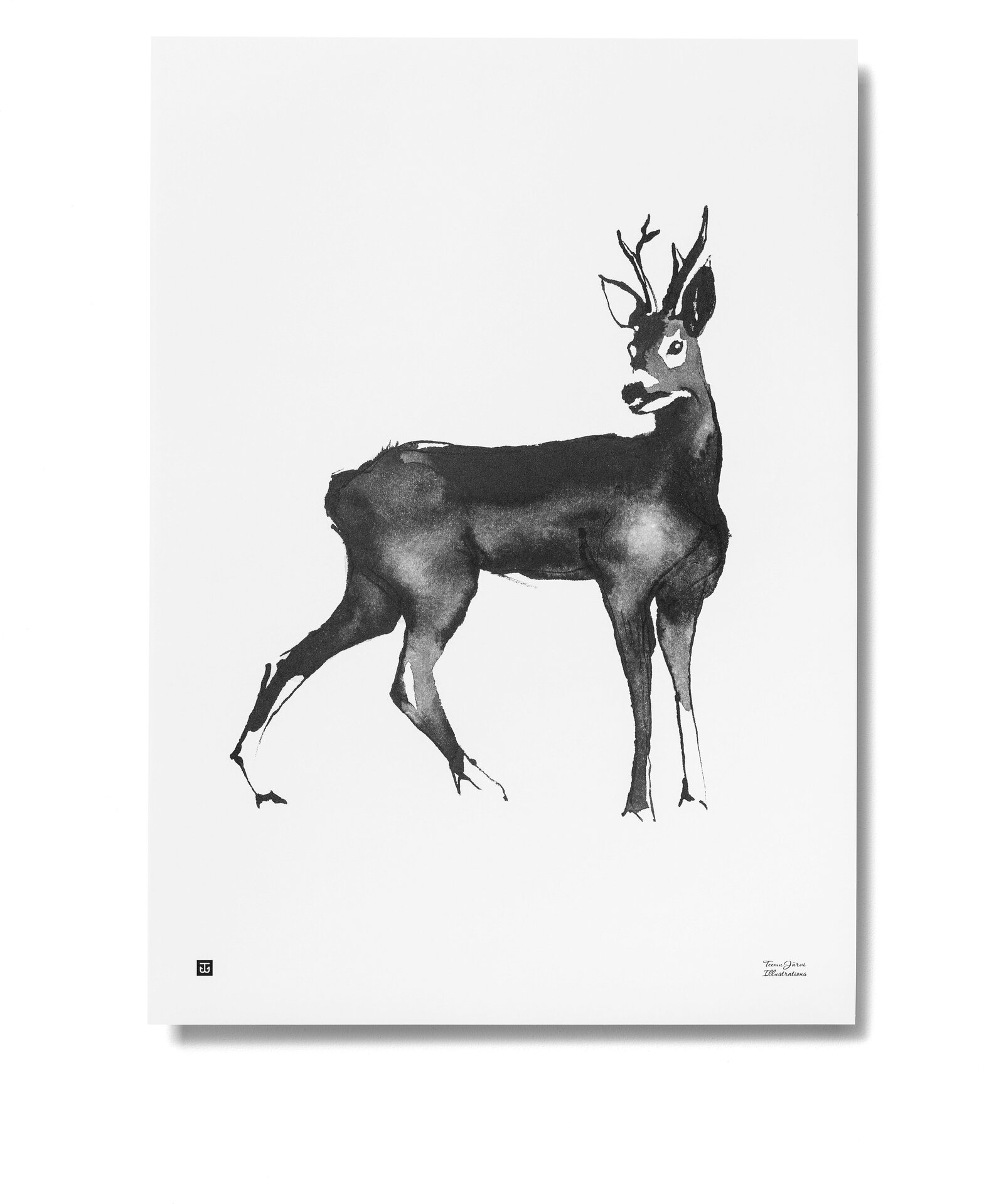 Teemu Järvi Paper Poster Large, 50 X 70 cm Stenbuk