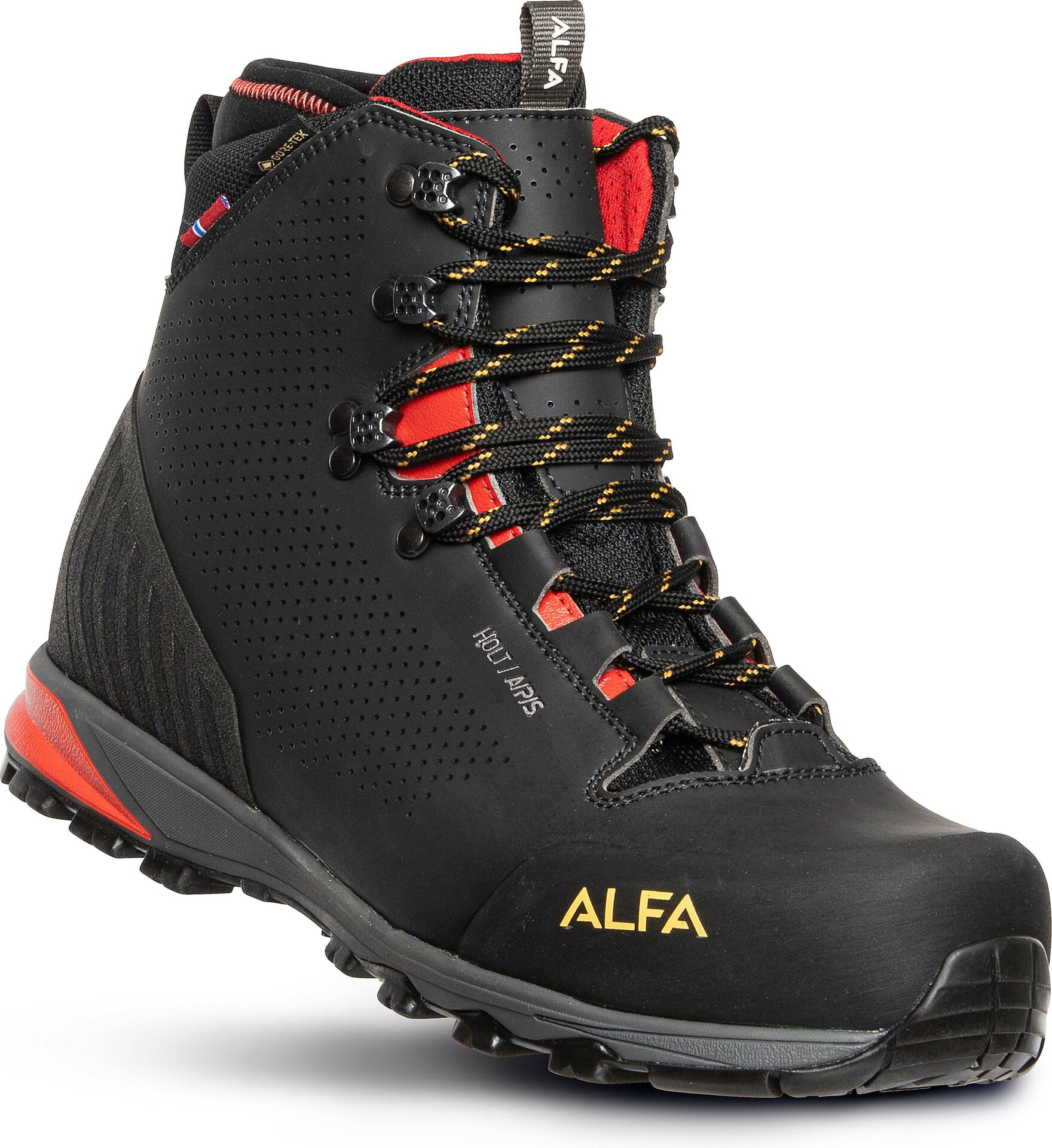 Alfa Holt A/P/S GTX Mens Black