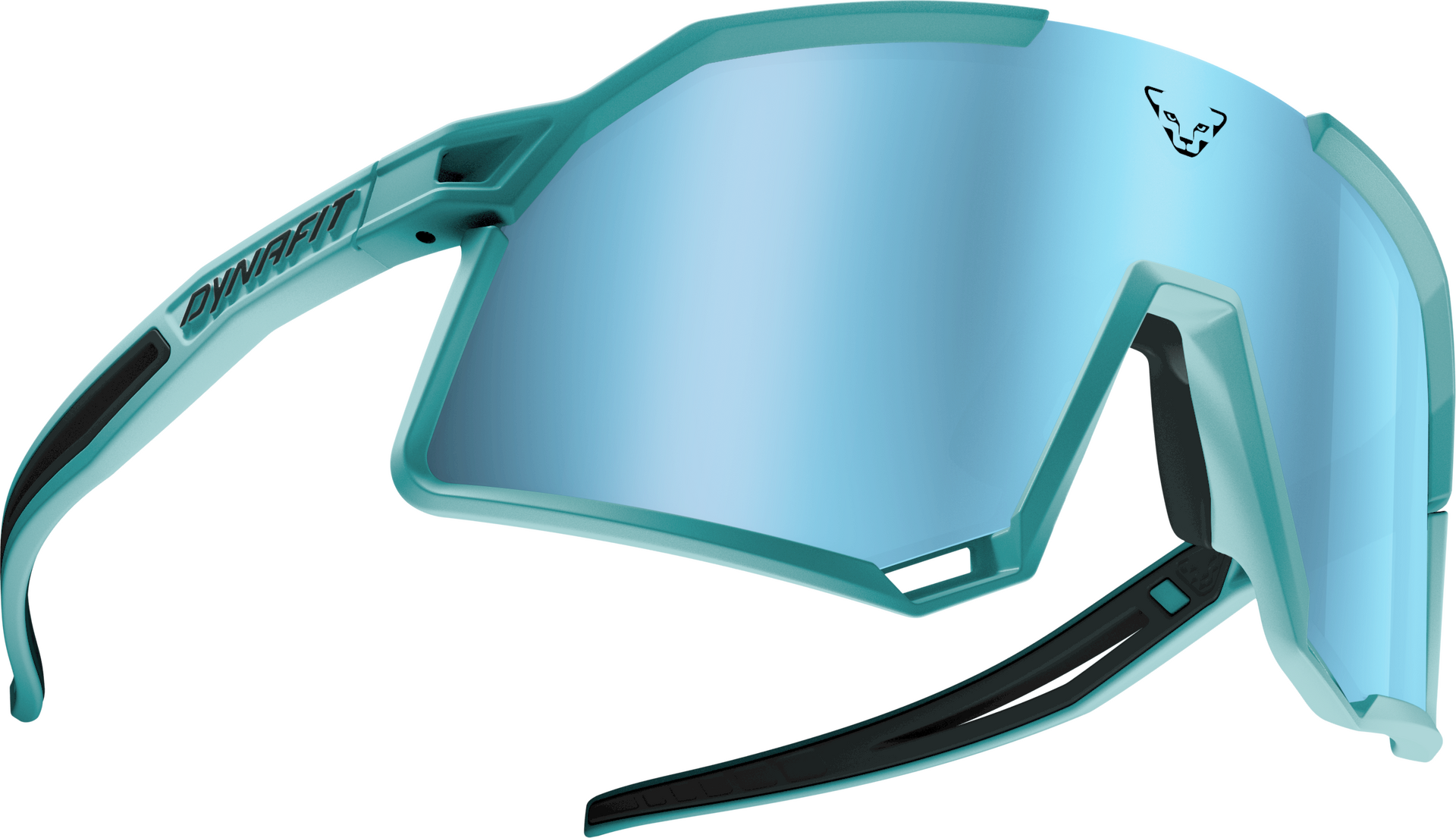 Dynafit Trail Evo Sunglasses Marine Blue / Blueberry
