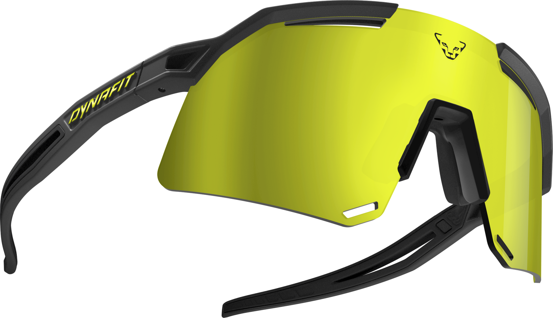 Dynafit Ultra Evo Sunglasses Black / Gold