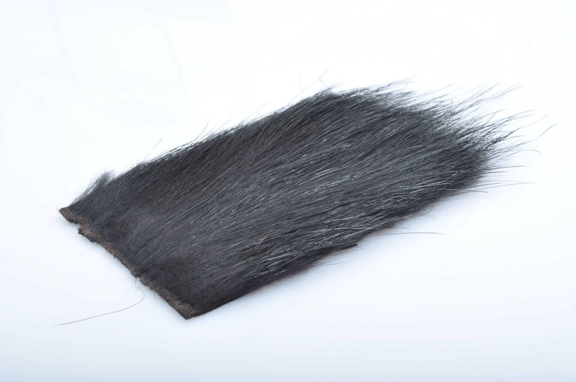 Silvergrey Nutria Black