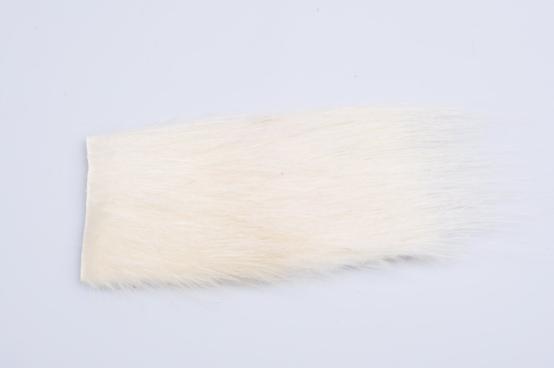 Silvergrey Nutria White