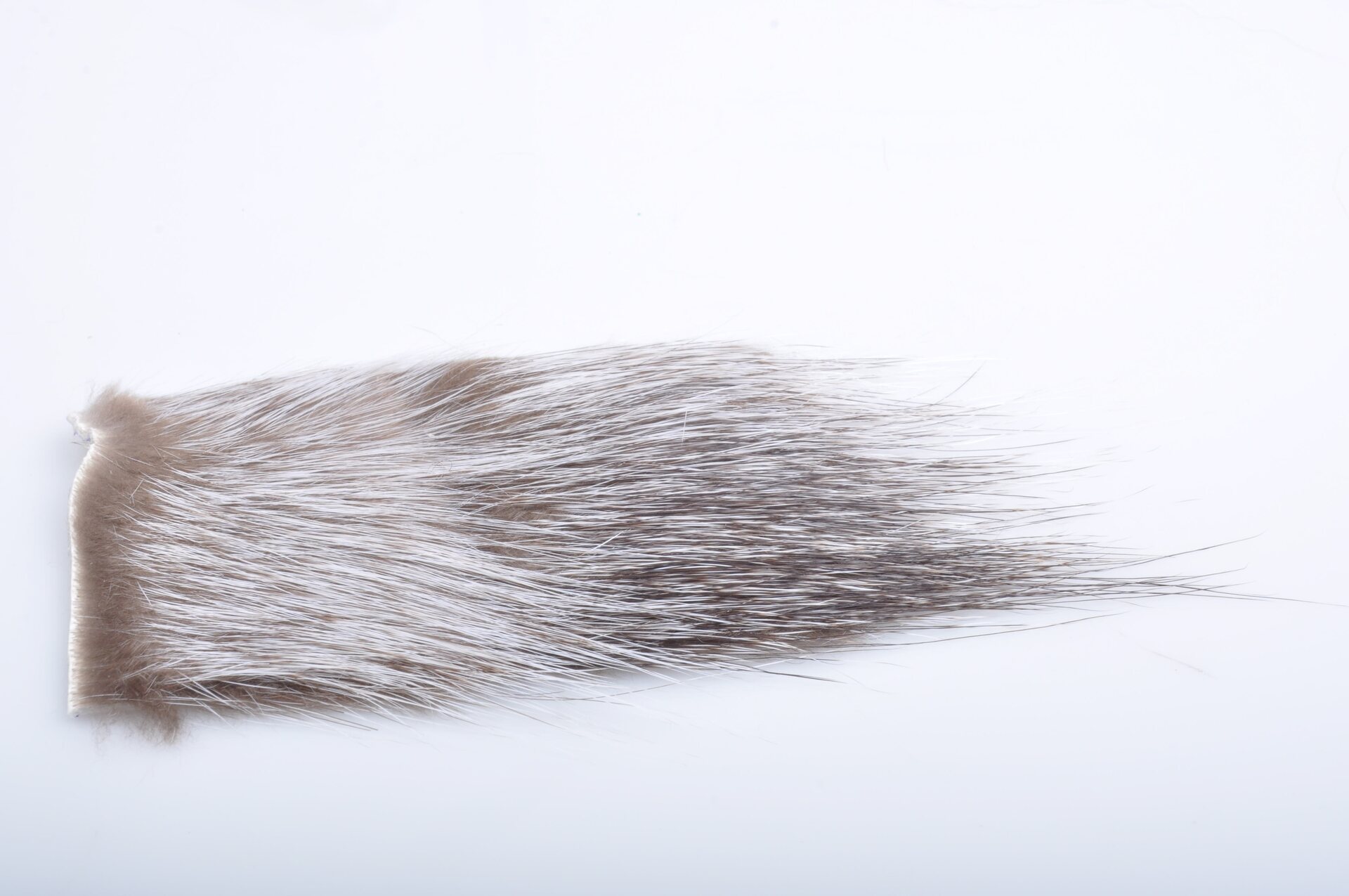 Silvergrey Nutria Grey / Black