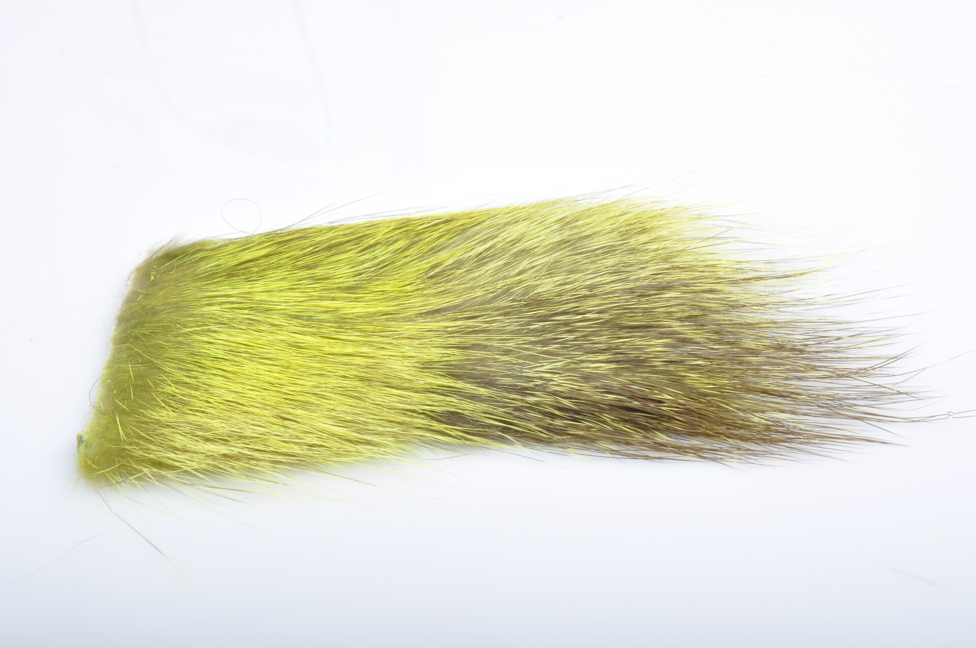 Silvergrey Nutria Yellow / Black