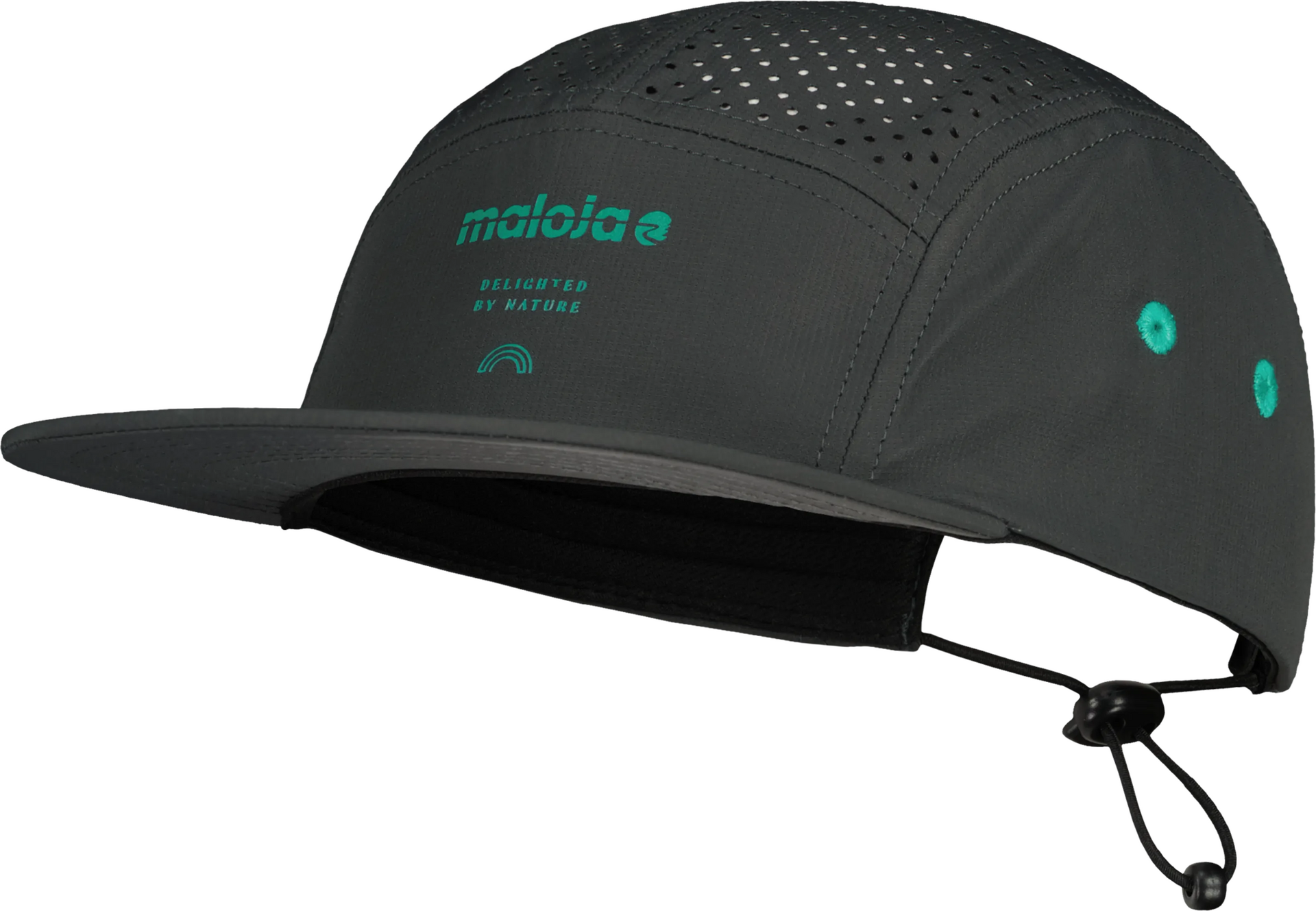 Maloja KirchlM. Trail Cap Mountain Pine