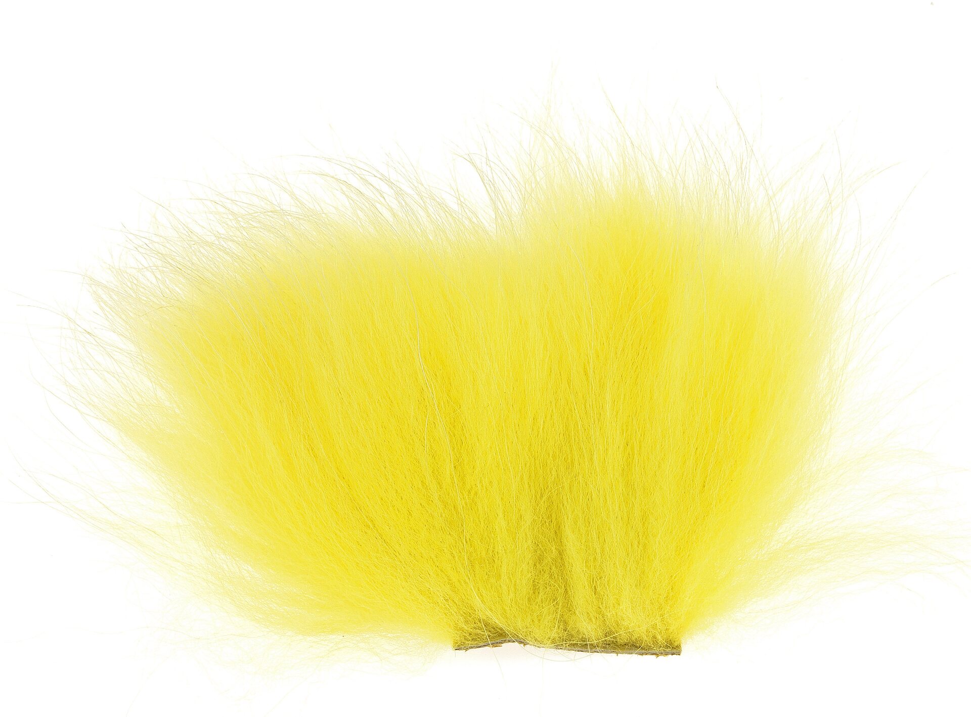 Finn Raccoon Body Yellow
