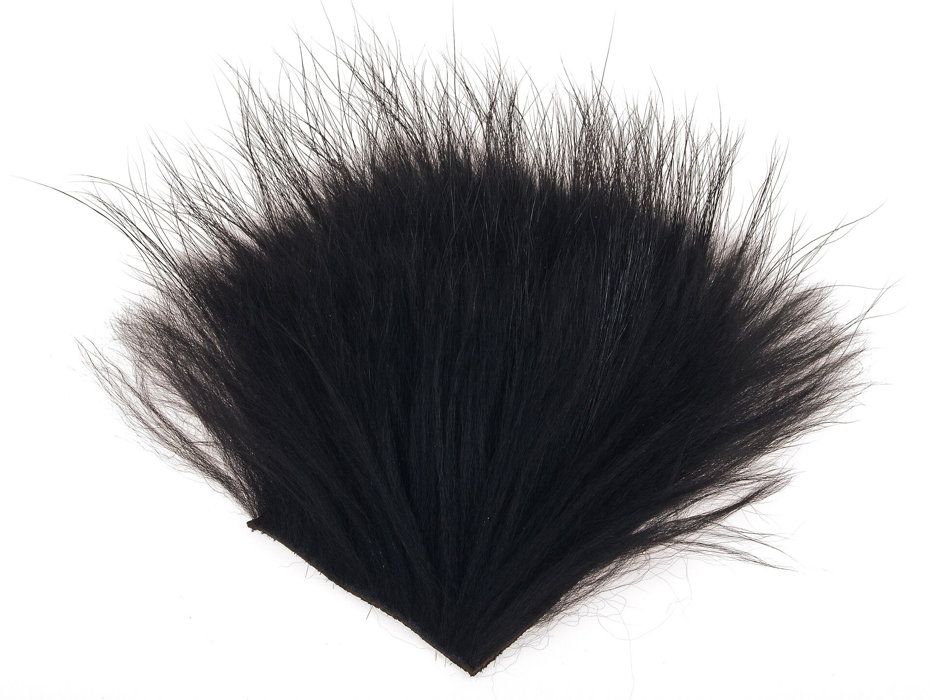 Finn Raccoon Body Black