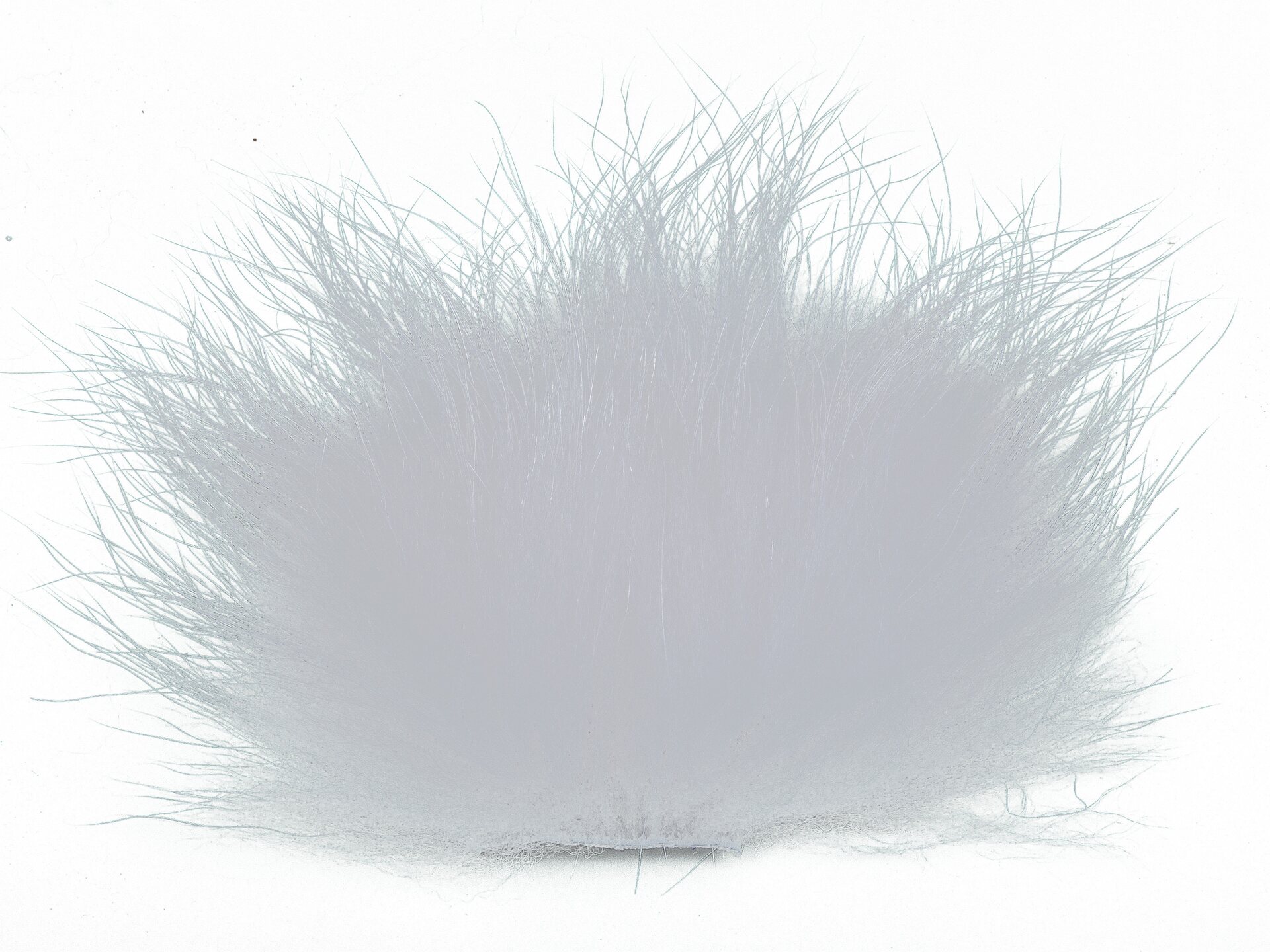 Finn Raccoon Body Natural White