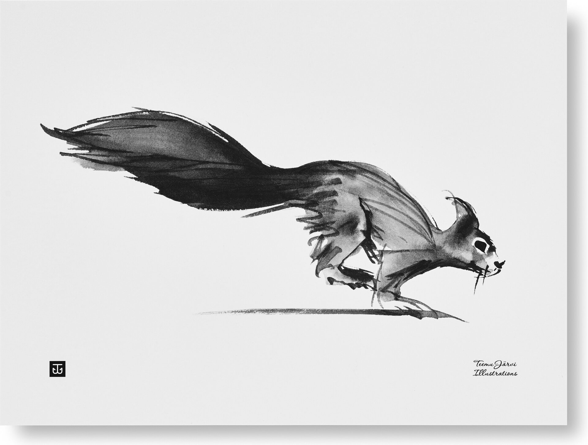 Teemu Järvi Paper Poster Small, 30 x 40 cm Squirrel
