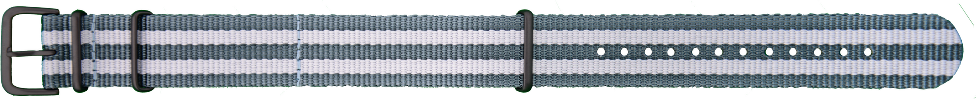 Traser Nato strap 22mm P96 OdP Evolution 109042