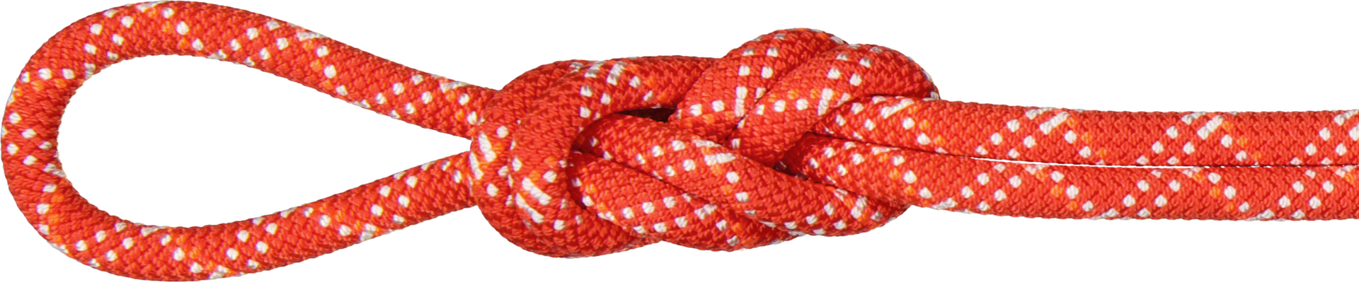 Mammut 9.5 Gym Classic Rope Raspberry White (2024)