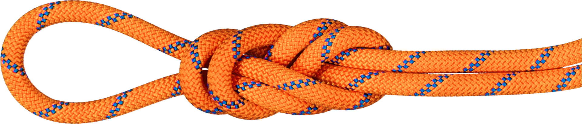 Mammut 9.0 Alpine Sender Dry Standard Rope Sunrise-Ice