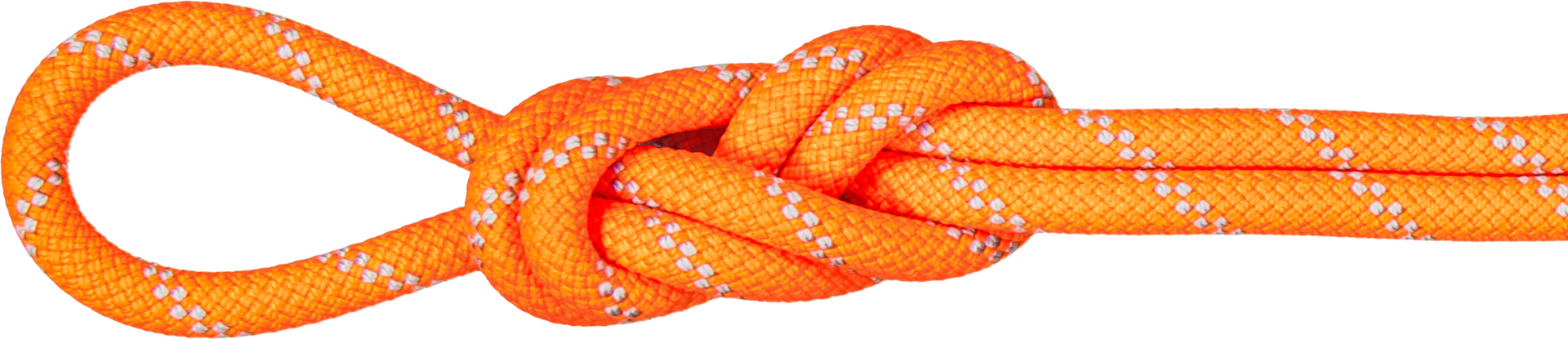 Mammut 9.5 Alpine Dry Rope Safety Orange-Zen (Dry Standard)