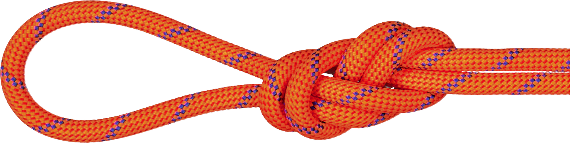 Mammut 7.5 Alpine Sender Dry Rope Fire-Blue (Dry Standard)