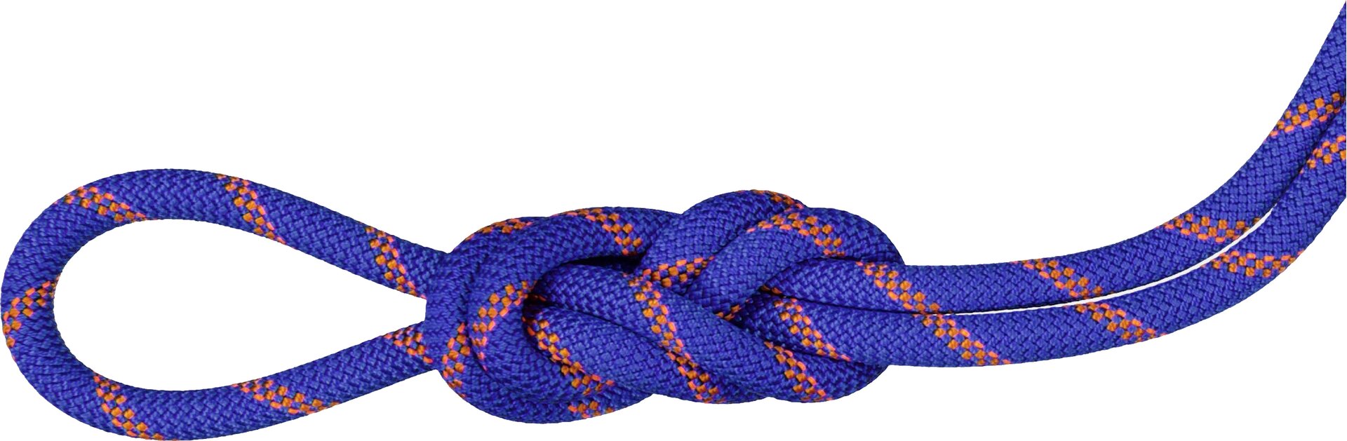 Mammut 9.0 Alpine Sender Dry Standard Rope Ice / Sunrise (2024)