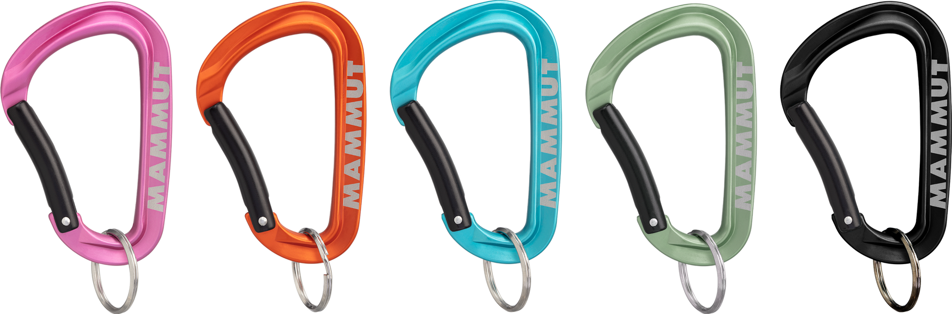 Mammut Mini Carabiner Workhorse Keylock L Assorted (väri vaihtelee)