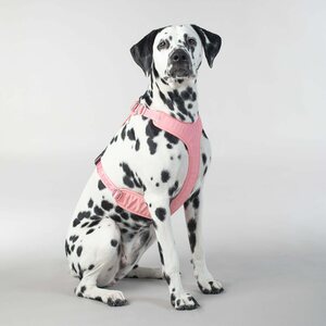 Paikka Visibility Harness for Dogs, Pink, S