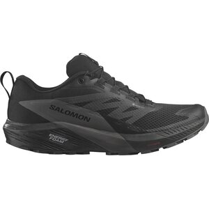 Salomon Sense Ride 5 GTX Mens, Black / Magnet / Black, EUR 47 1/3 (UK 12.0)