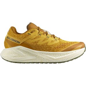 Salomon Aero Glide 3 Gravel Mens, Spicy Mustard / Vanilla Ice / Deep Lichen Green, EUR 47 1/3 (UK 12.0)
