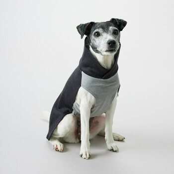 Paikka Recovery Winter Shirt for Dogs, Grey, 25 cm