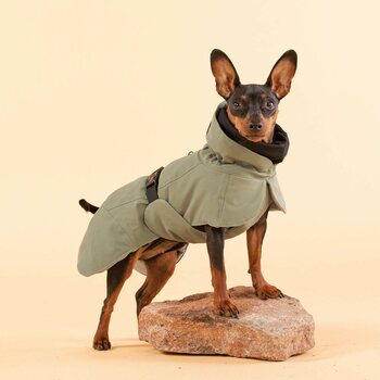 Paikka Visibility Winter Jacket for Dogs, Green, 65