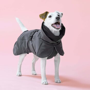 Paikka Visibility Winter Jacket for Dogs, Dark, 45