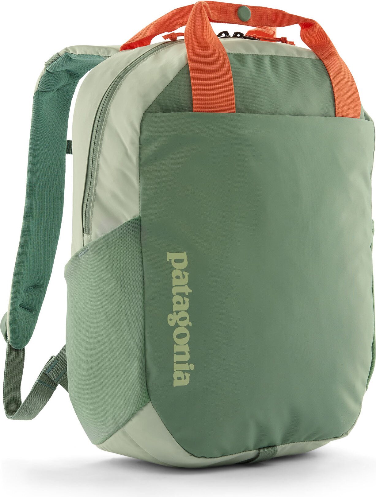 Patagonia Atom Tote Pack 20L Lichen Green