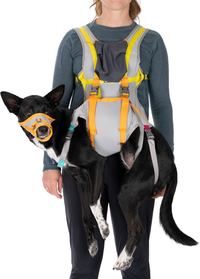 Ruffwear BackTrak Evacuation Kit Cloudburst Gray