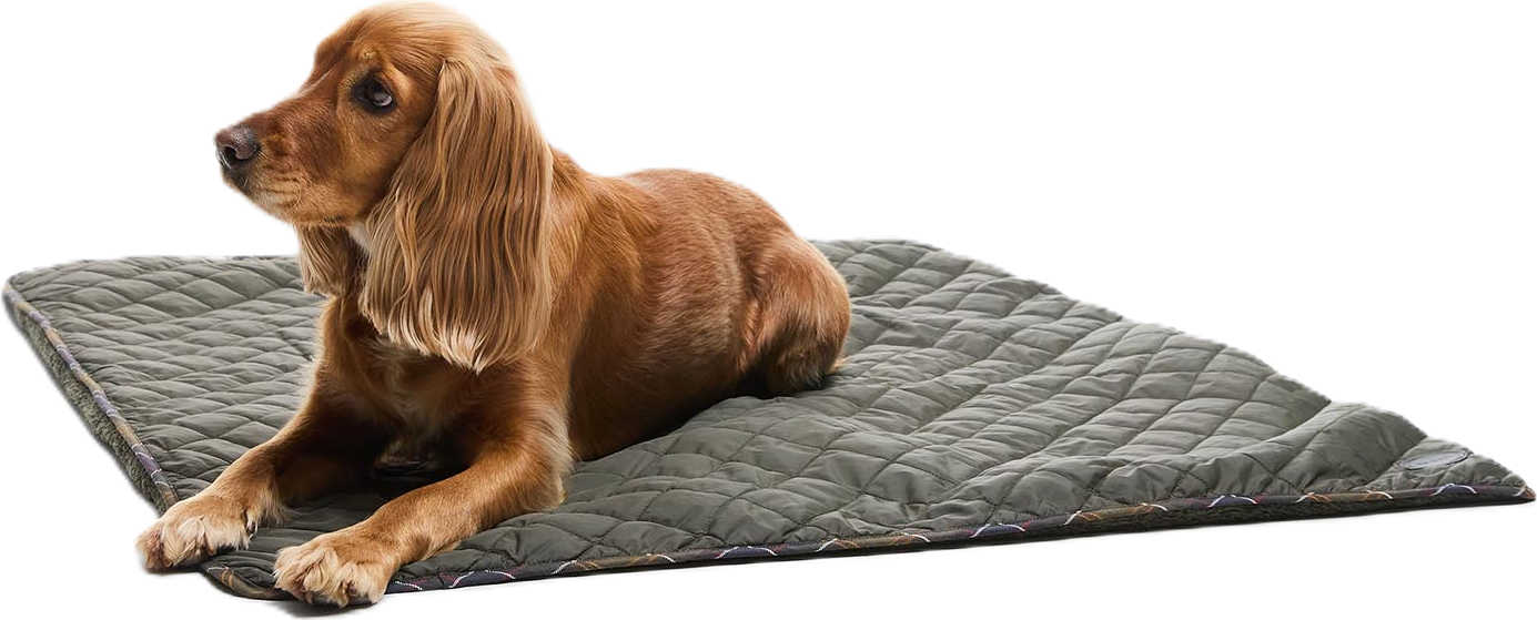 Barbour Dog Quilt & Fleece Blanket Olive