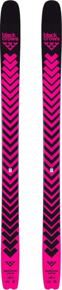 Black Crows Corvus Pink