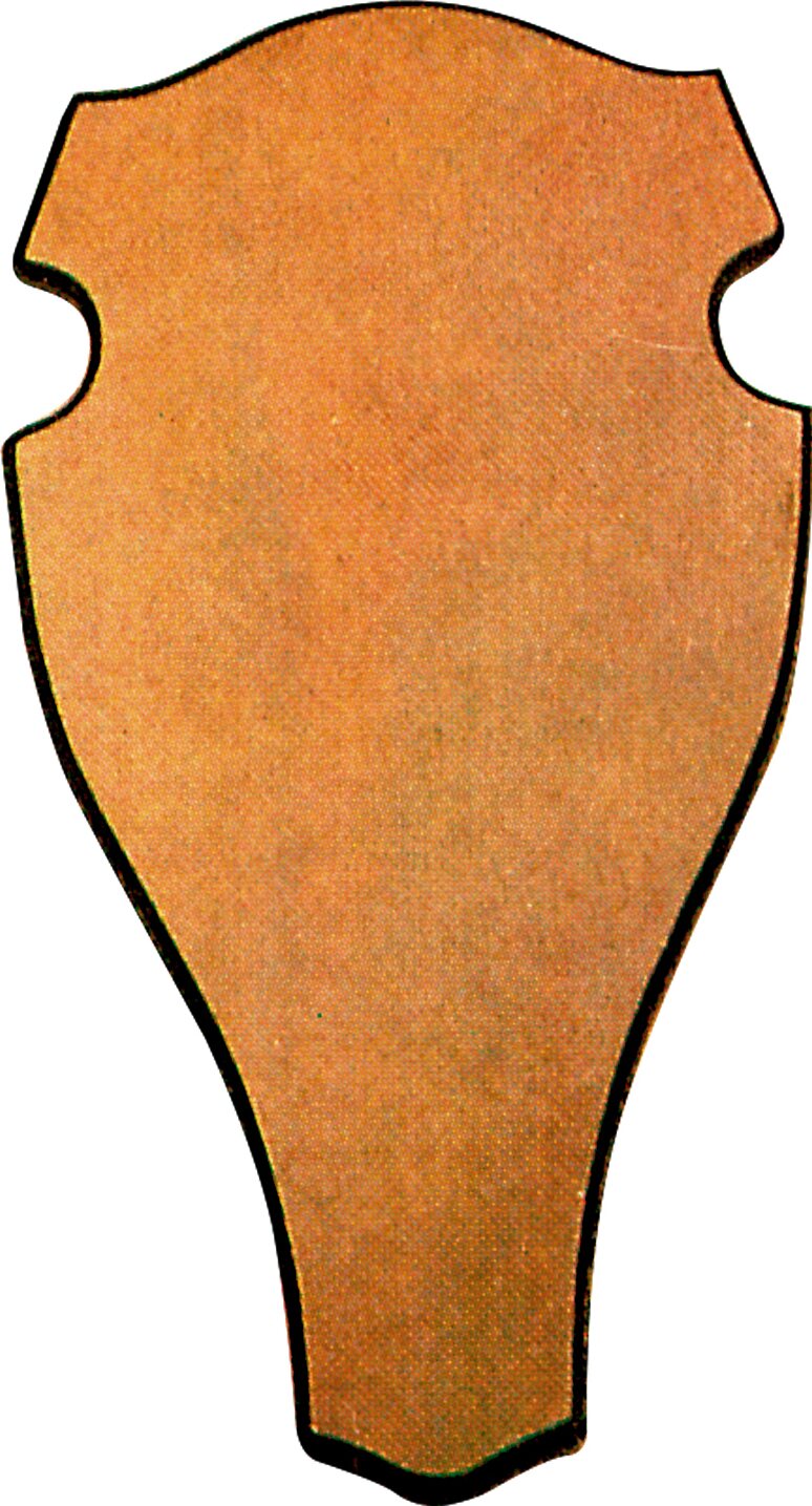 Rounded Trophy Board Bright