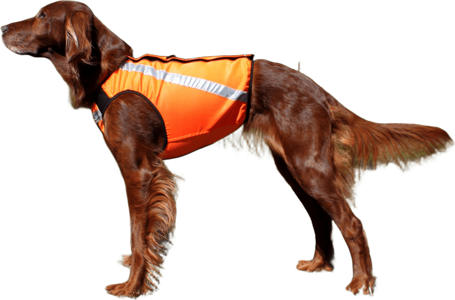 Kardog SISU Safety Vest Orange