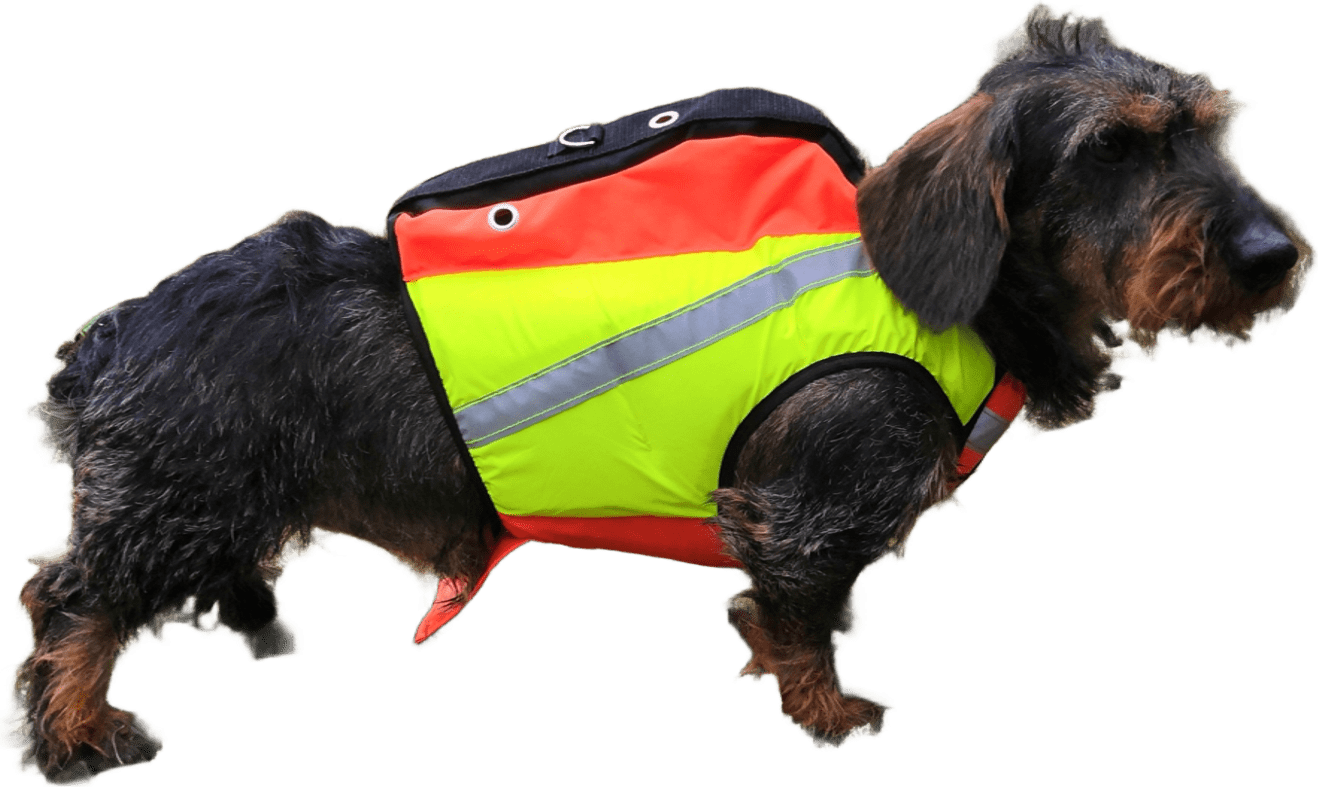 Kardog Saga - GPS Buoyancing Safety Vest Kelta/oranssi