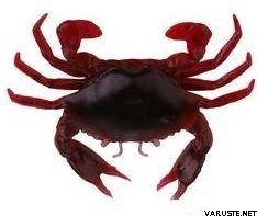 Savage Gear Manic Crab jigi 5kpl Red & Balck