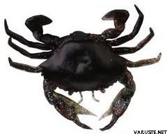 Savage Gear Manic Crab jigi 5kpl Blue