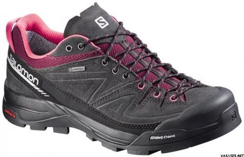 Salomon X Alp LTR GTX W Asphalt/Bord/PK