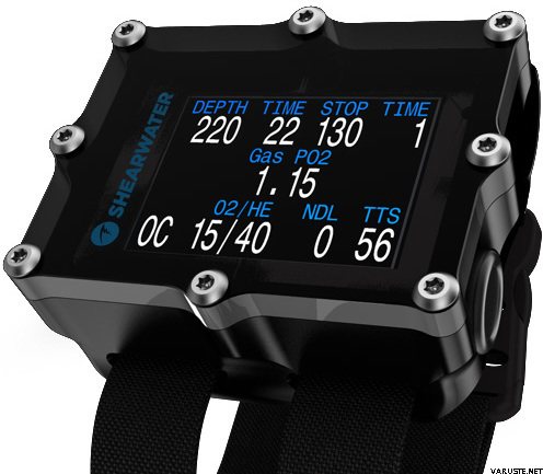 Shearwater Petrel 2 SA