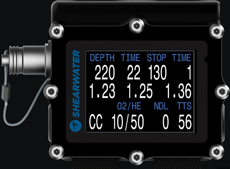 Shearwater Petrel 2 Fischer