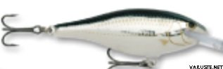 Rapala Shad Rap Shallow 7cm SSR-7 Bleak (ALB)