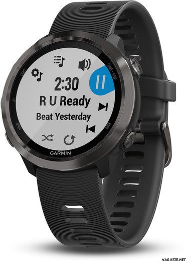 Garmin Forerunner 645 Music Slate