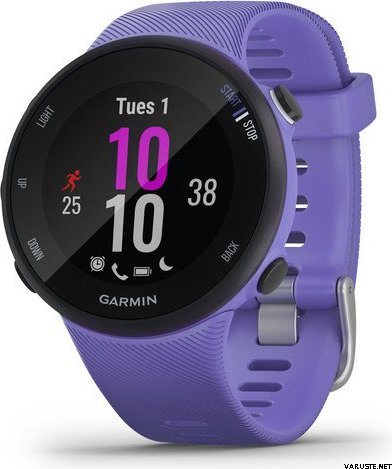 Garmin Forerunner 45S Iris