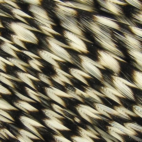 Whiting Hebert-Miner Pro Grade Cape Grizzly