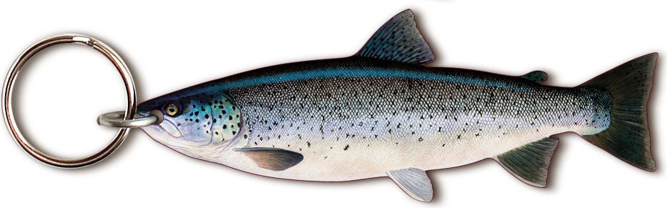 Sakke Yrjölä Key Chain - Sakke Yrjölä Meritaimen