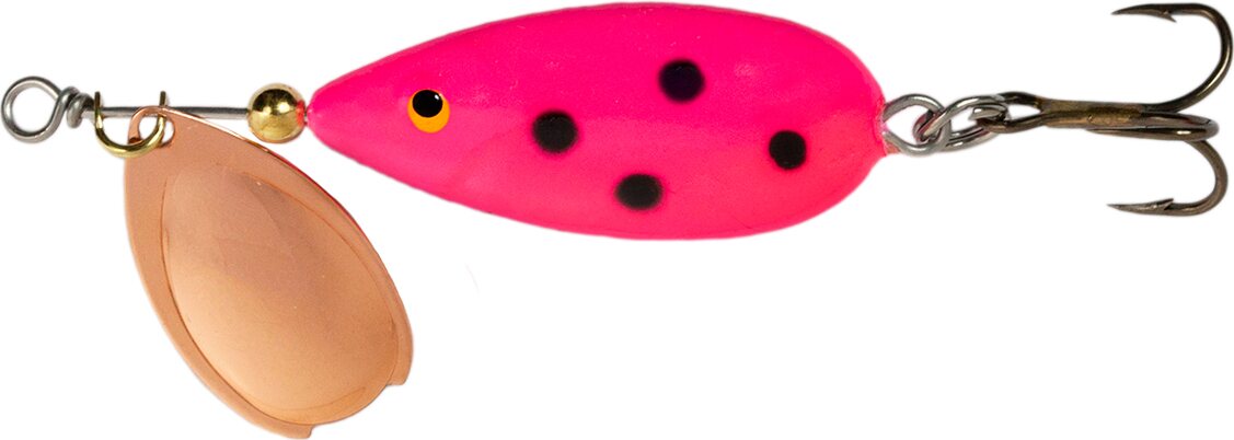 Bete Lotto Spinner PI