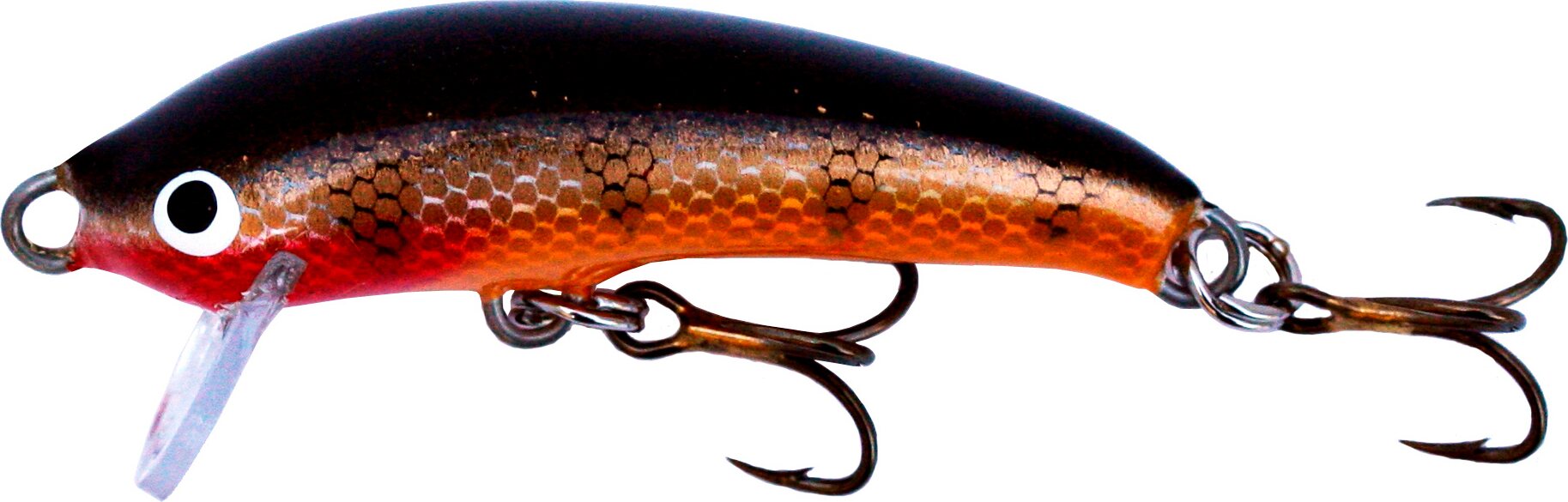 Nils Master Invincible Floating 5cm 17