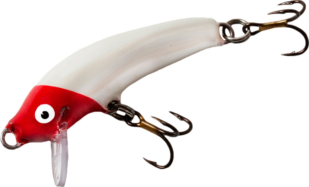 Nils Master Invincible Floating 5cm 31