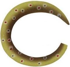 Fly Dressing Custom Wiggle Tail Brown Trout