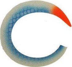 Fly Dressing Custom Wiggle Tail Hot Herring