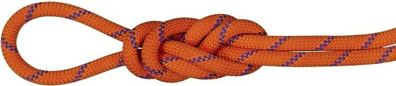 Mammut 9.0 Alpine Sender Dry Standard Rope Sunrise / Ice (2024)