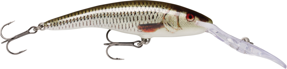 Rapala Deep Tail Dancer 9cm / 13g Live Roach (ROL)
